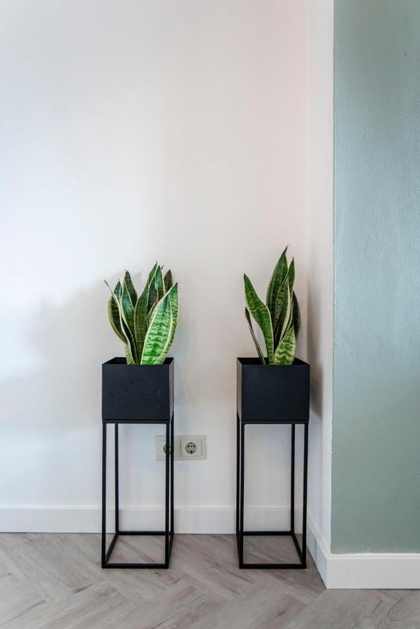 Appartement En Studio Papillon ซานด์โวร์ต ภายนอก รูปภาพ
